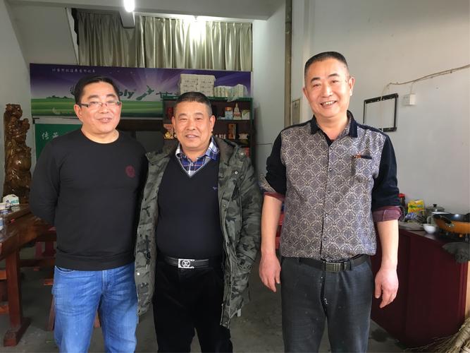 杨氏三兄弟