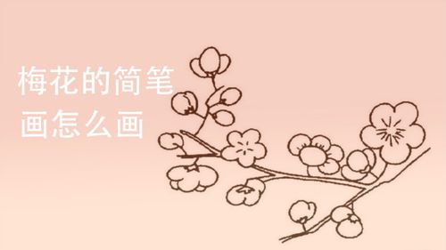梅花的简笔画怎么画
