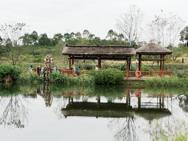 理想生活的可能都藏在这里天府新区新晋网红打卡地官塘村