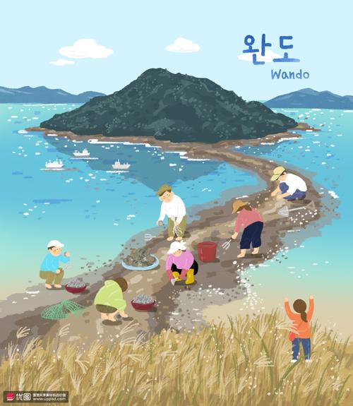 体验生活海边赶海铺抓贝壳旅游插画