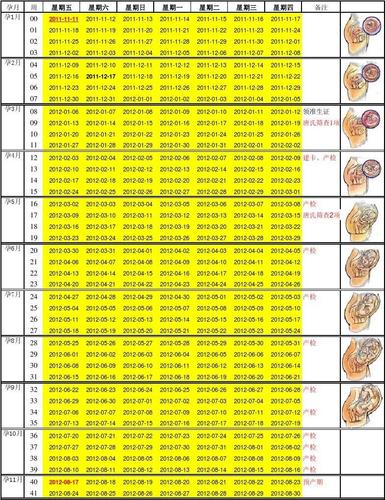 孕妇怀孕对照表