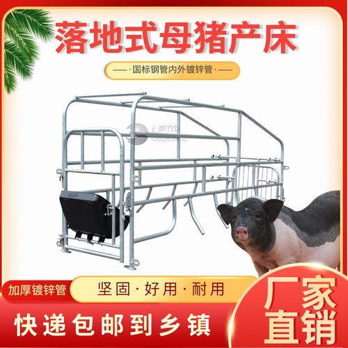 母猪产床保育两用产保定位栏限位栏漏粪板分娩小猪哺乳床养殖设备