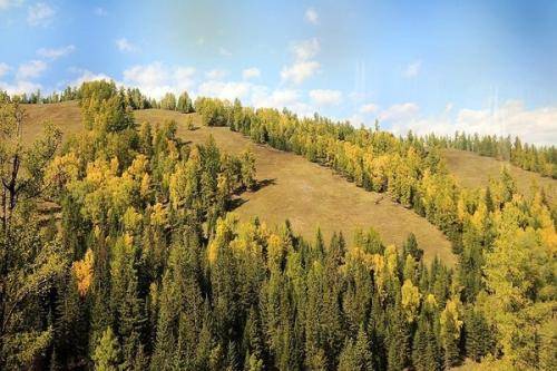 环境丨三北防护林工程实施40年治理沙化土地336万平方公里