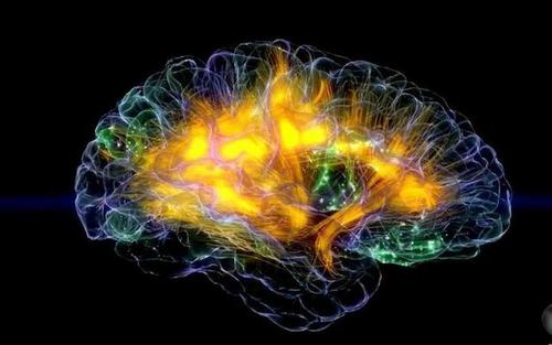 当人类大脑被完全开发时这个世界将会变成什么样