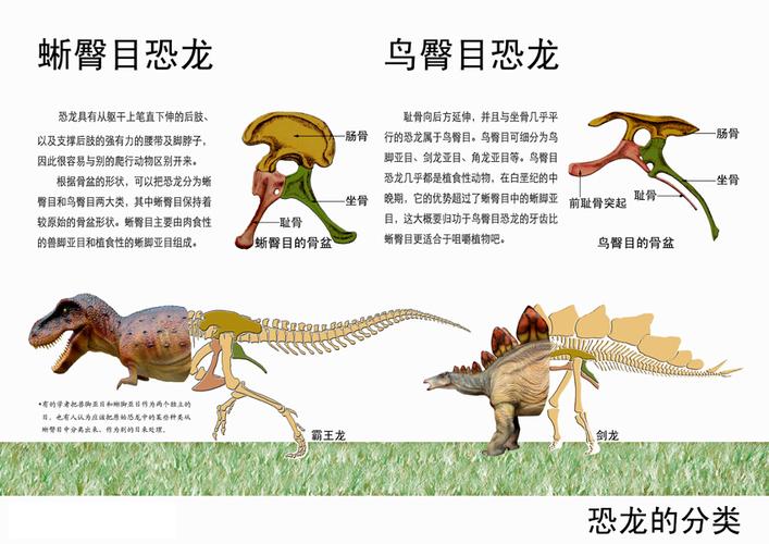 即龙盘目和鸟盘目恐龙