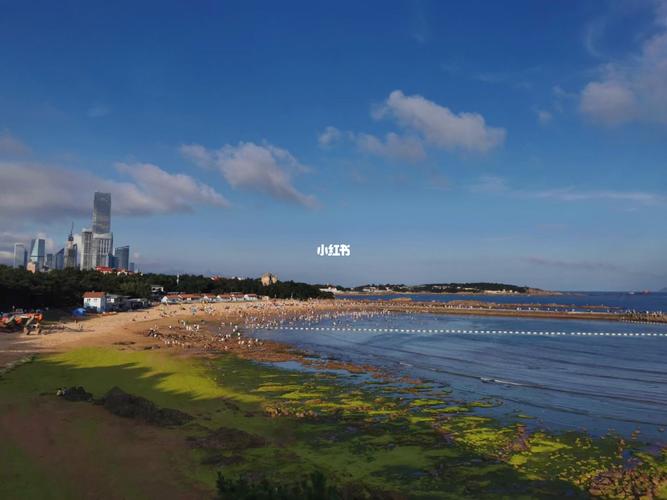 金沙滩_青岛美术馆_小麦岛公园_燕儿岛山公园_小鱼山公园_啤酒_春天去