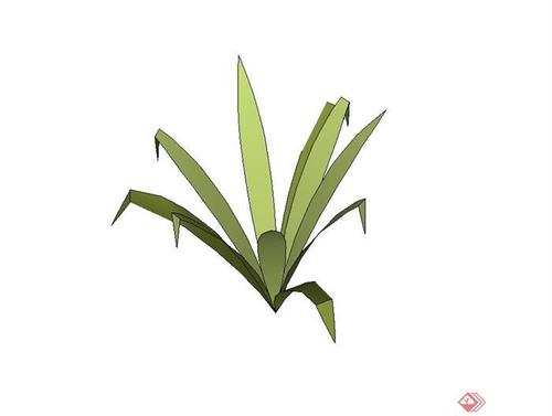 经典观赏草植物素材设计su模型[原创]