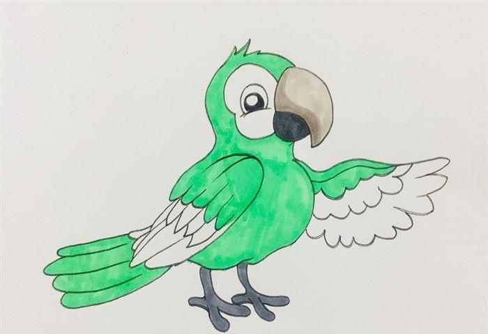 如何画鹦鹉简笔画步骤
