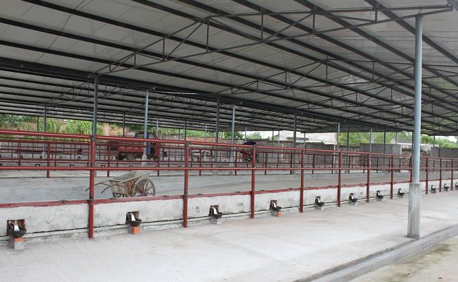 通鸿牛业标准化牛舍