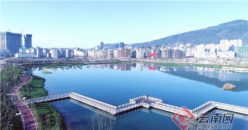 云南武定:用心呵护好青山绿水|武定县|狮子山|公园