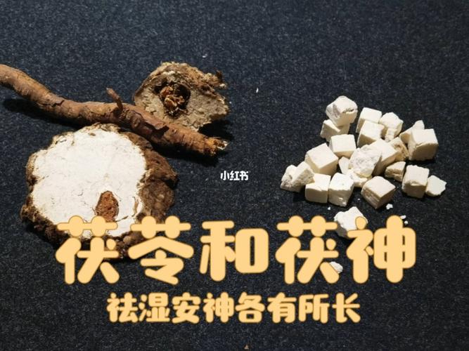 茯苓和茯神的区别_茯苓_助眠_安神_健脾_医疗健康