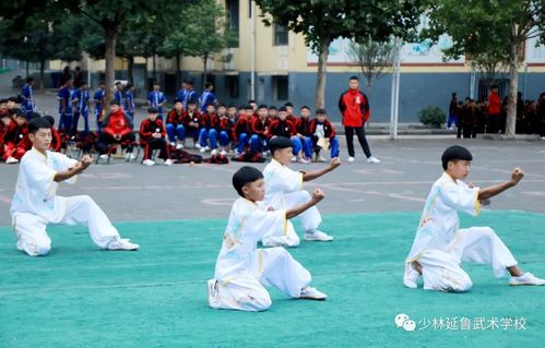 少林延鲁武术学校:校运会套路比赛丨运动健儿亮风采,激情点燃武术魂