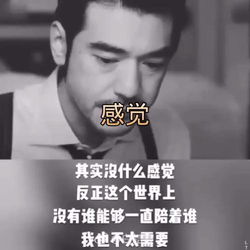 其实没什么感觉 反正这个世界上 没有谁能够一直陪着谁 我也不太需要