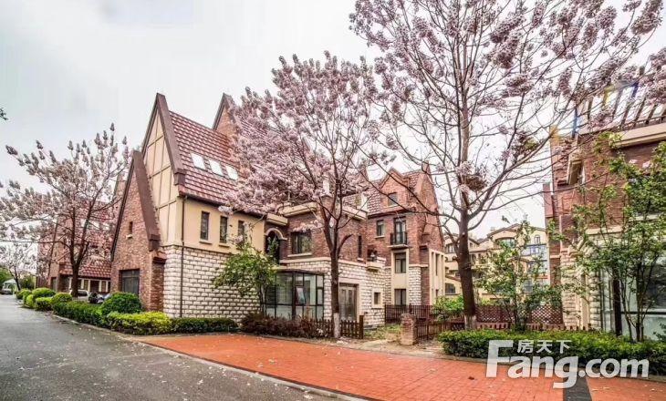 星耀五洲澜海庄园有几套不错,了解了解,随时看房,天津