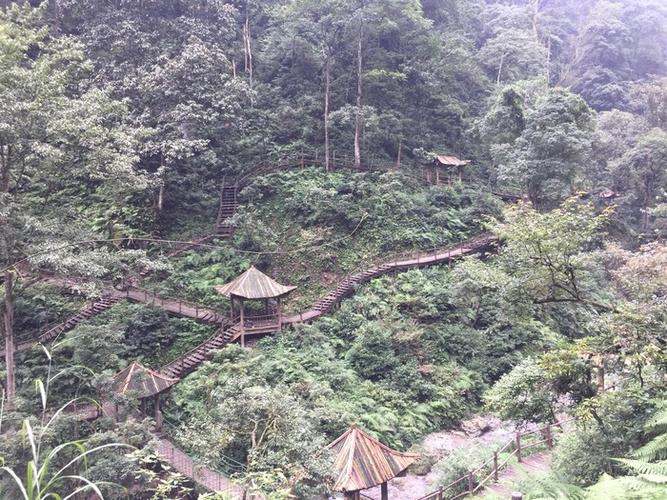 美食之都.成都.峨眉山.猴山.