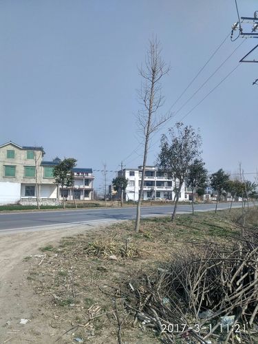 安徽省宿州市灵璧县201省道靠近钱家天气预报