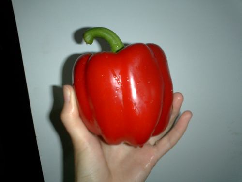 我的红椒生孩子了