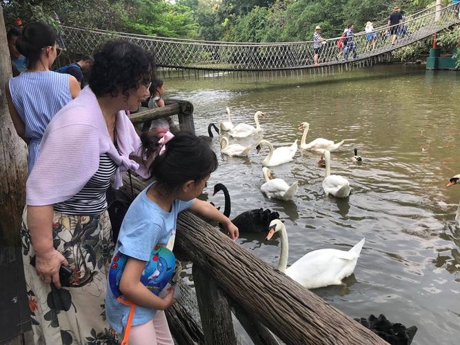 旅游篇(二)二零一九年二月我的泰国之旅掠影 ~高银凤