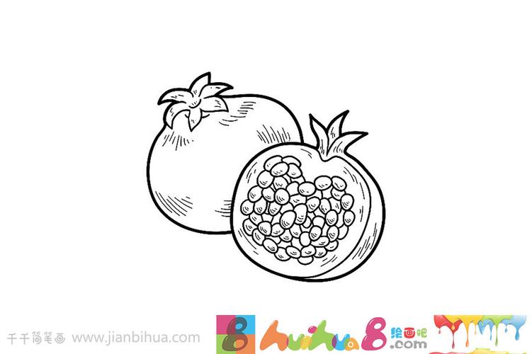 石榴简笔画的画法