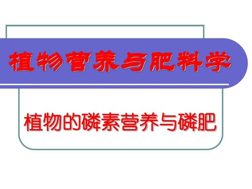 植物的磷素营养ppt