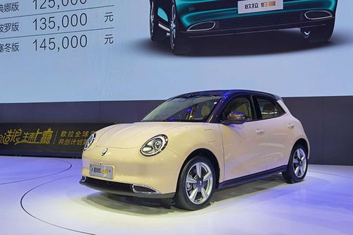 黑猫白猫不如好猫欧拉好猫预售价105万起