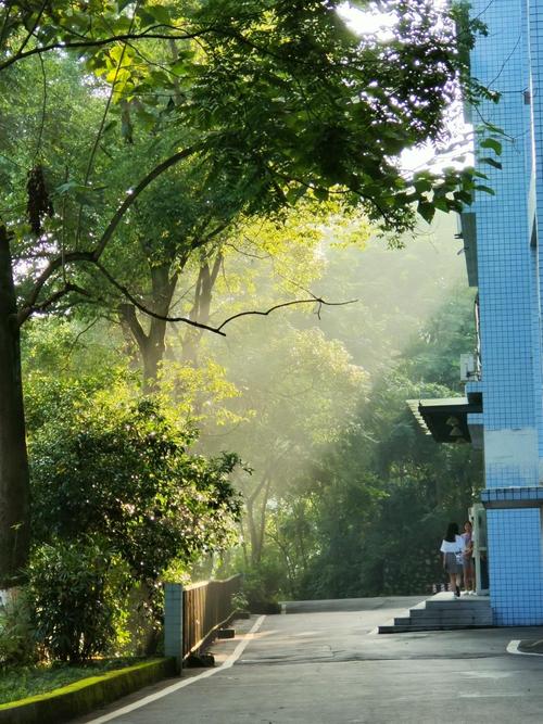 "燃梦百年,绿色校园由我拍"摄影比赛获奖作品展示