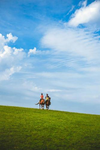 你见过马奔跑的样子吗?