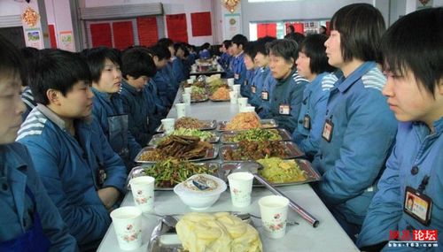 报酬管理试行办法》的规定,从2003年起,只要服刑人员参加劳动改造的