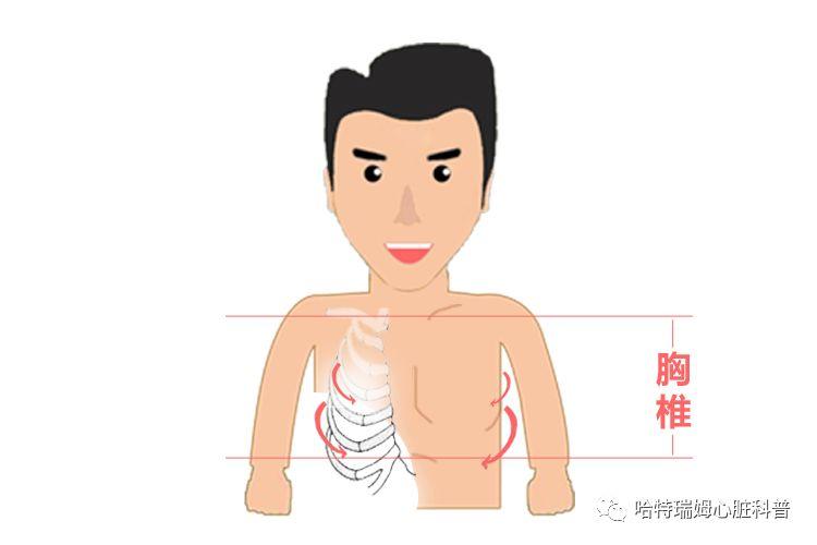 肋间神经痛的疼痛范围很有特点: 自胸背部起,沿肋间斜向前
