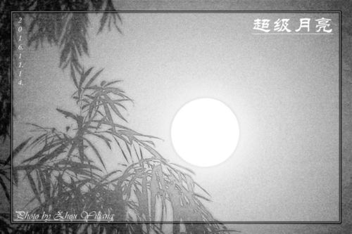 月上柳梢头