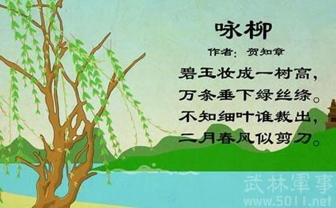 简单一点的咏柳手抄报 简单一点的手抄报