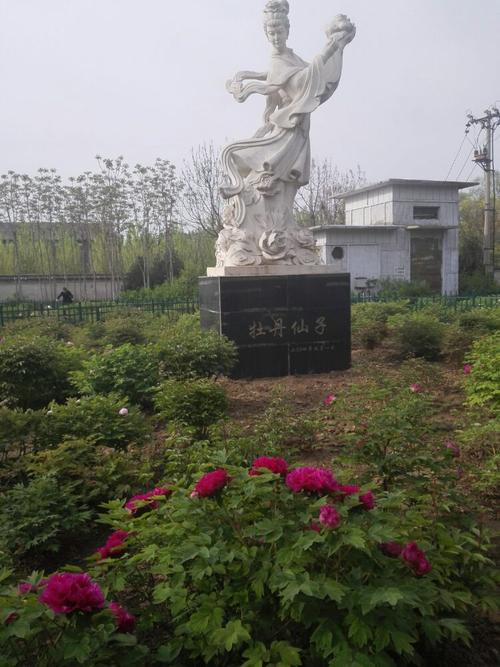 牡丹仙子舍身为苍生的故事永流传