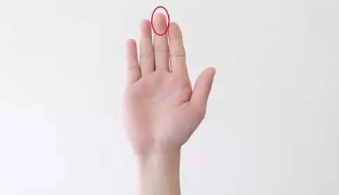 美食 正文  观察手指指腹是饱满润泽,还是干瘪褶皱?