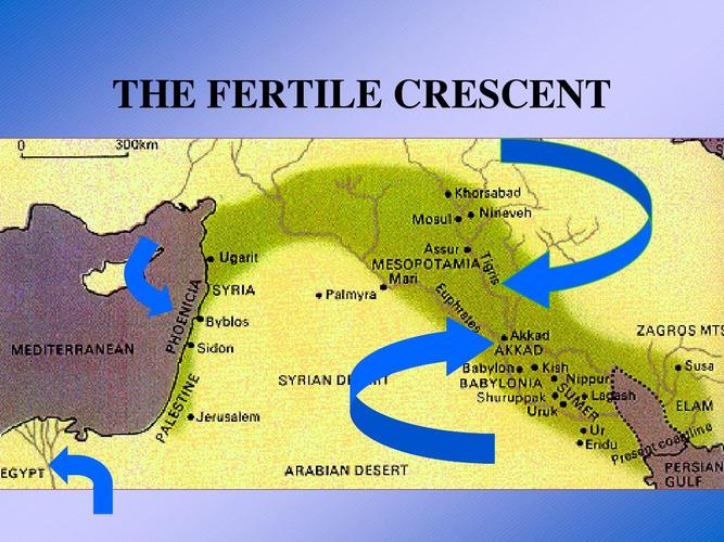 the fertile crescent