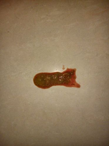 请帮我看下我家的狗狗啦的便便是不是细小的症状!