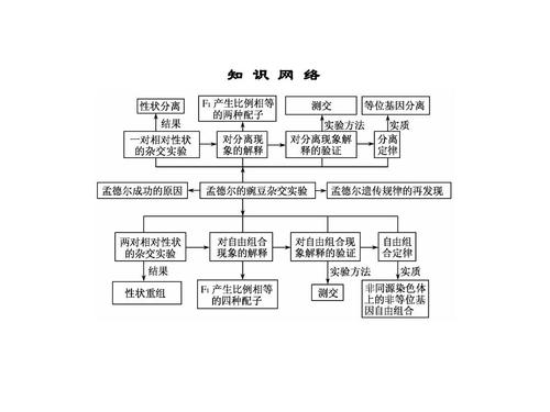 章末回顾第1章 遗传因子的发现