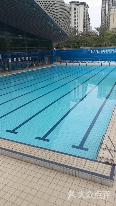南山文体中心游泳馆-图片-深圳运动健身-大众点评网