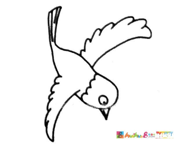 6款简单的喜鹊简笔画图片