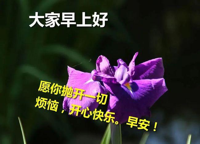 早上好朋友好看的早安祝福语动态图超棒走心的早安祝福短信