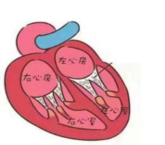 向您比心教您读心术