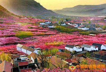重返亲亲的沂蒙山