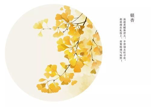 银杏树下,静气凝神,听叶子簌簌地落下,穿越千年,刹那芳华.