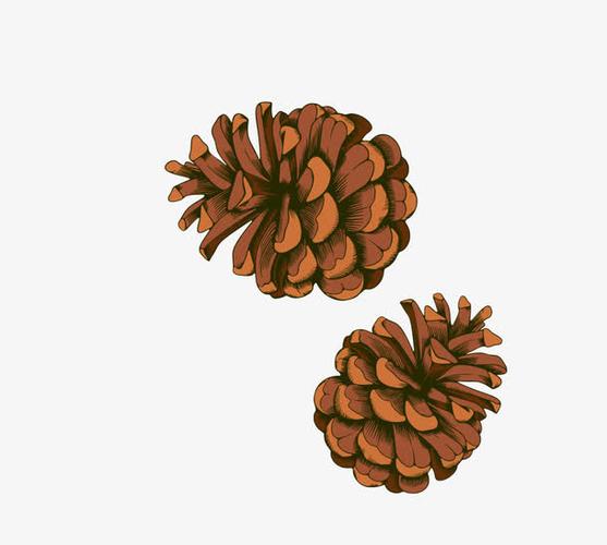 关键词 : 松果,松树,卡通松果