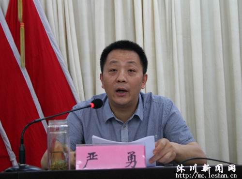 县委常委,组织部长严勇讲话