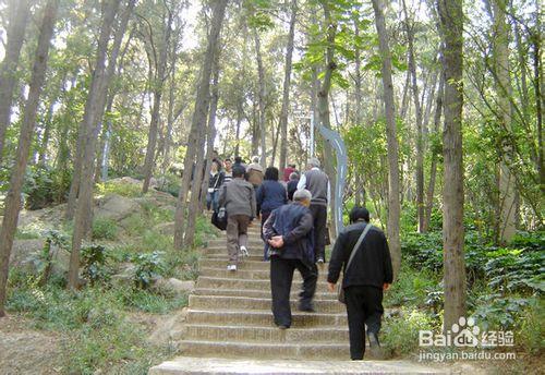 重阳节登山要注意什么?