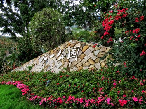 行摄福州八一公园