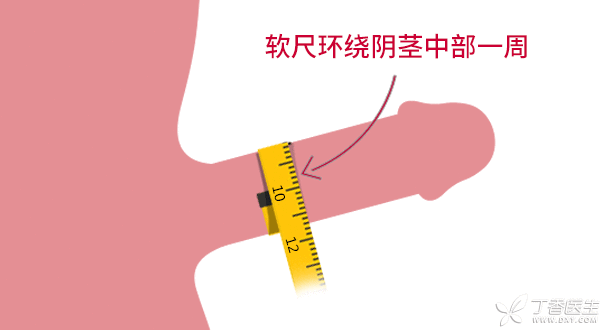 什么样的「丁丁」尺寸才算是正常的?