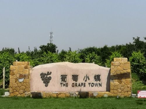 骑行昌黎葡萄小镇