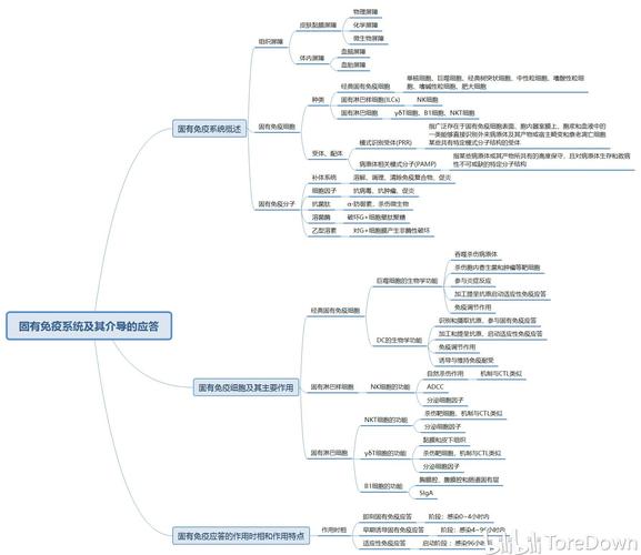 医学免疫学(下篇) 思维导图