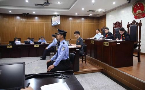 图说| 昨顺义法院院长,公审这样一起诈骗案!